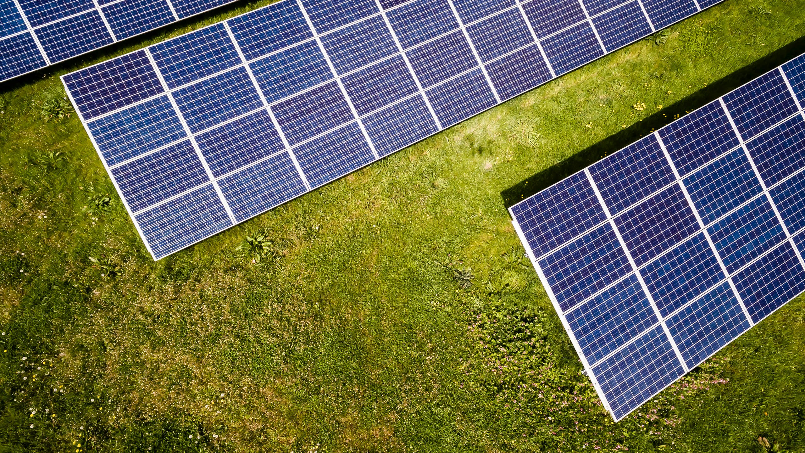 Immagine energy manager